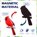 photect-8-pcs-cardinal-bird-screen-door--4.jpg