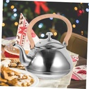 pretyzoom-stainless-steel-tea-kettle-han-5.jpg