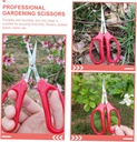 gardening-tool-flower-arranging-pruning--4.jpg