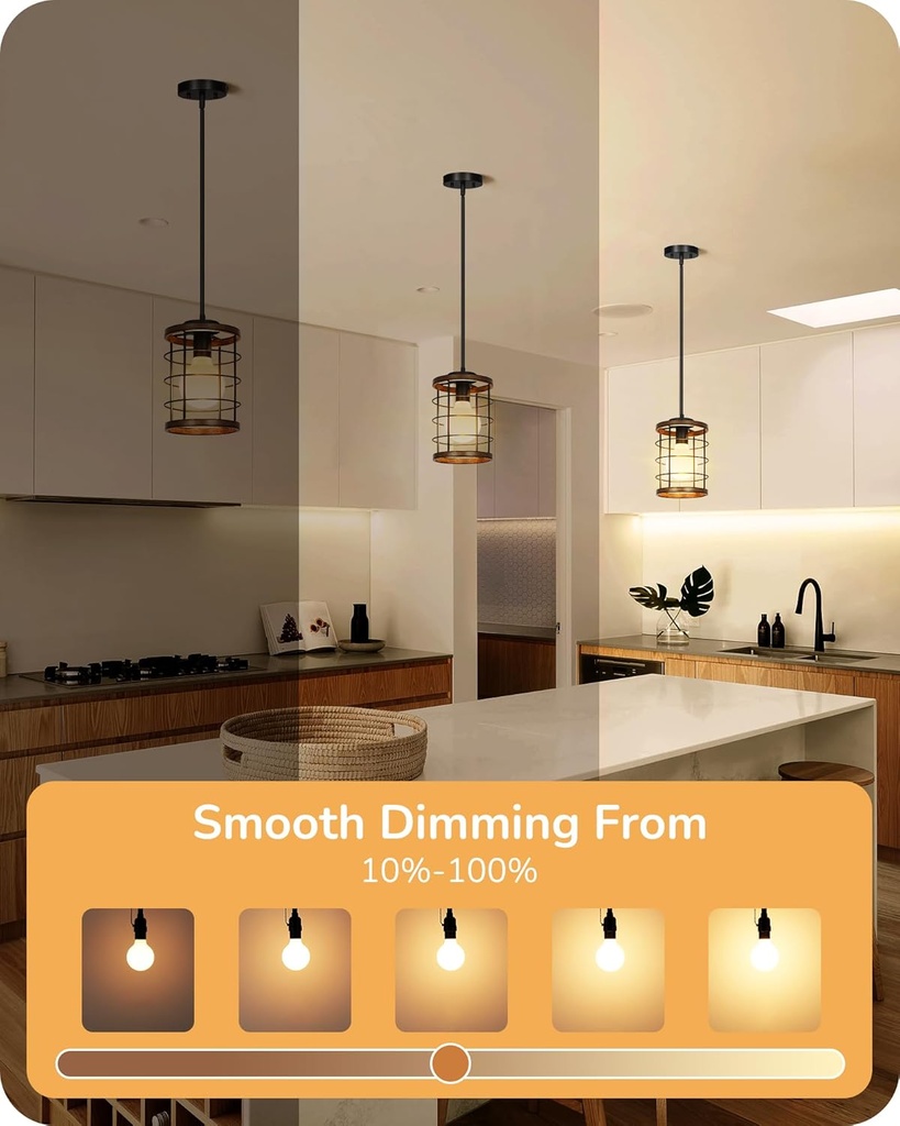 edishine-dimmable-g25-globe-led-edison-l-3.jpg