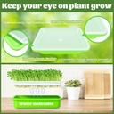 legigo-10-pack-green-seed-sprouter-trays-3.jpg