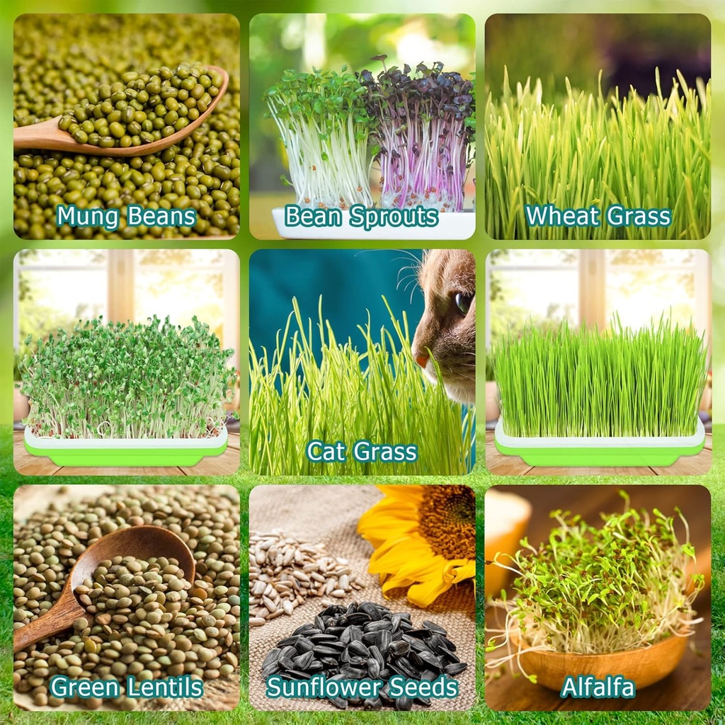 legigo-10-pack-green-seed-sprouter-trays-6.jpg