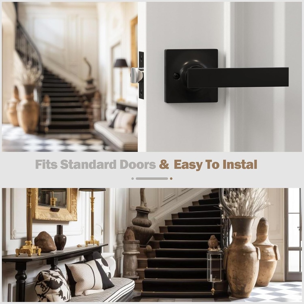 passage-door-knob-black-door-knobs-inter-2.jpg
