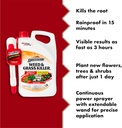 1-gal-ready-to-use-grass-and-weed-killer-2.jpg