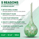 plant-watering-globes-set-of-6-large-gla-2.jpg