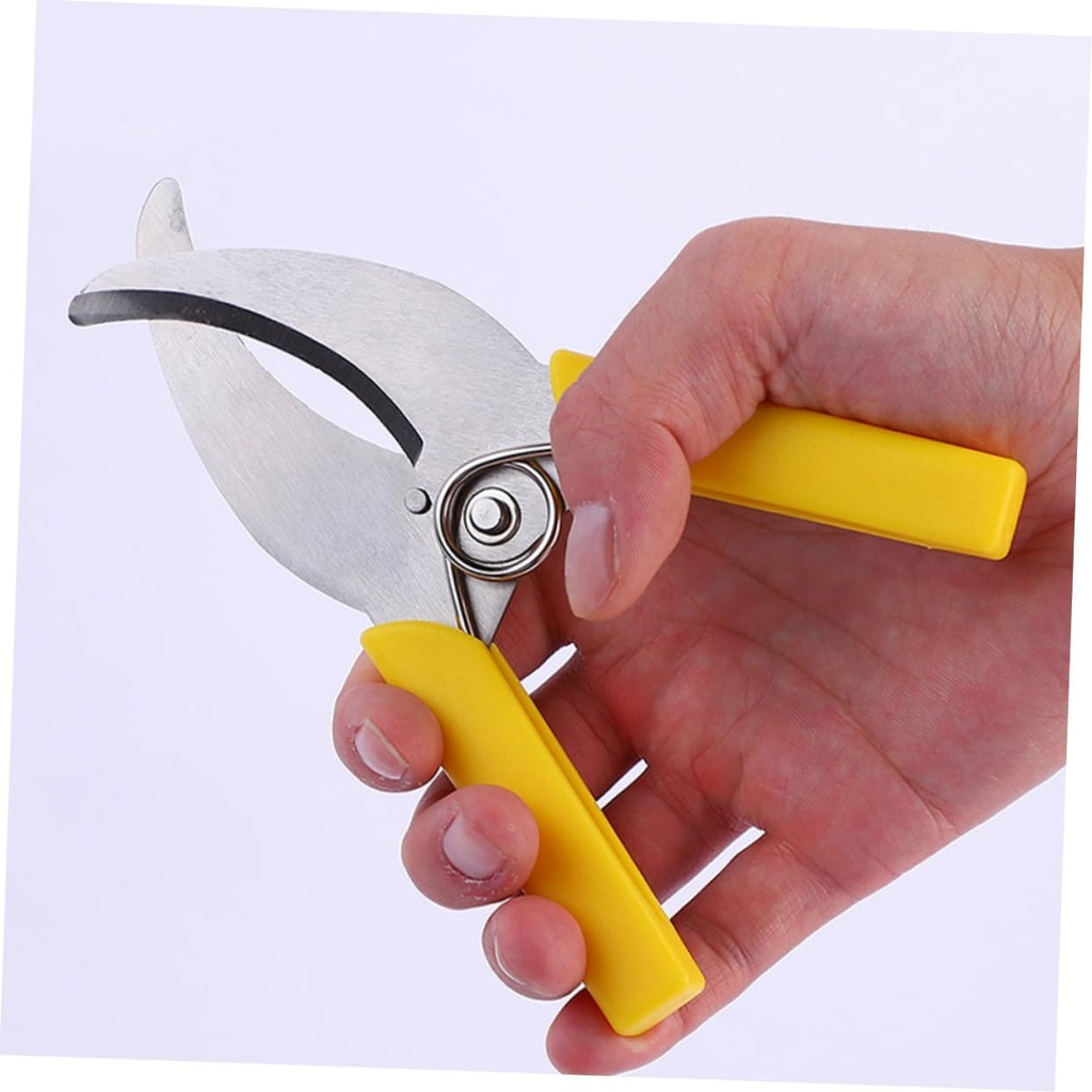 6pcs-stainless-steel-fruit-tree-pruner-t-3.jpg