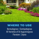bioadvanced-season-long-lawn-weed-killer-5.jpg