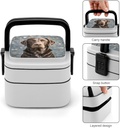 adult-double-layer-bento-box-brown-labra-5.jpg