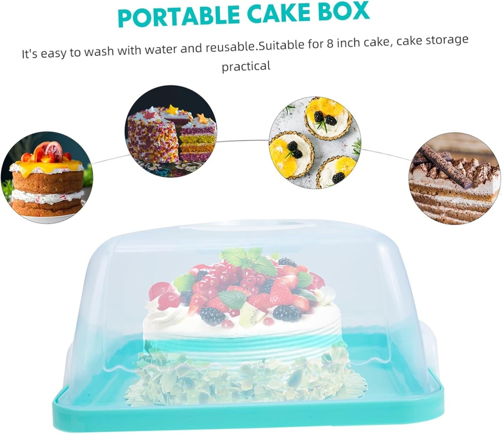 portable-transparent-plastic-cake-carrie-3.jpg