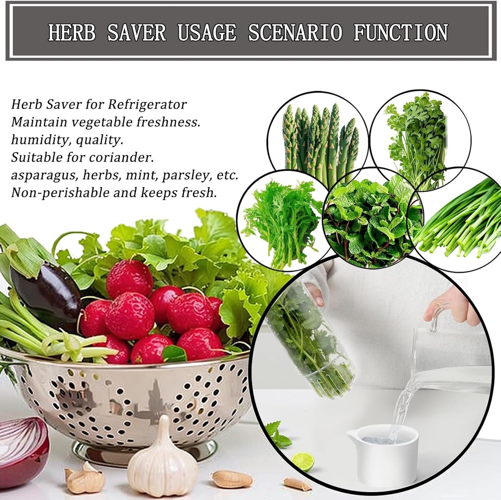 herb-saver-for-refrigerator-fresh-herbs--3.jpg