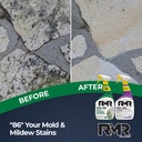 rmr-brands-diy-mold-remover-bundle---com-6.jpg