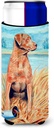 Chesapeake Bay Retriever Ultra Beverage Insulators for slim cans