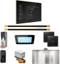 Mr Steam XDream Max Steam Shower Pkg w/iSteamX Control and Linear Steamhead in Black Satin Brass