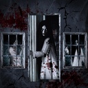 3 Pcs Halloween Window Door Covers Set Halloween Scary Window Curtain and Door Cover Spooky Silhouette Props Poster for House Decor(Female Ghost)