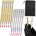 Tungsten Carbide Tip Scriber, 12Pcs Metal Etching Pen Carve Engraver Scribe Tools for Stainless Steel, Ceramics, Glass, Metal Sheet and Gold/Welding