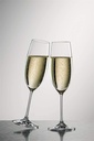 Zwiesel Case of 2 Champagne Glasses Ivento 23 cl Schott