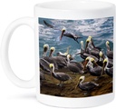 3dRose USA, Oregon, Newport. Brown pelicans at Devils Punch Bowl. 11oz Mug