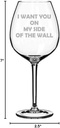Wine Glass Goblet I Want You On My Side Of The Wall Funny Friend Boyfriend Girlfriend (20 oz Jumbo)