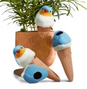 Bird Shaped Plant Watering Globes(Bule 4ps) Plants Suitable for Indoor and Outdoor Use Should be Kept Constantly Moist. The Interesting Shape Makes The Garden More Interesting and Beautiful.