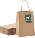 GSSUSA Brown Paper Bags 5.25x3.75x8 20Pcs, Small Gift Paper Bag with Handles Bulk, Graduation Gift, Sturdy Kraft Paper, Retail Shopping Bags, Party Favor, Christmas