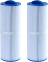 Malaka Spa Replacement Filter FD2007 Compatible with PWW50L 4CH-949 FC-0172, Hot Tub Replacement Filter Cartridge, 2-Pack